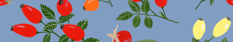 Snímek obrazovky 2025-09-06 165633